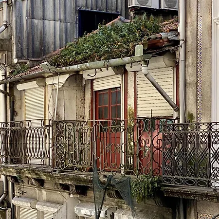 Belomonte 20 World Heritage Guest house Porto